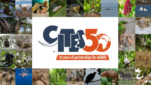 Lee más sobre el artículo 50 aniversario del acuerdo CITES