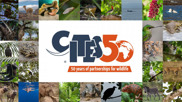 50 aniversario del acuerdo CITES