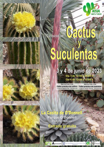 Lee más sobre el artículo Exposición de Cactus y suculentas 3 y 4 de junio de 2023