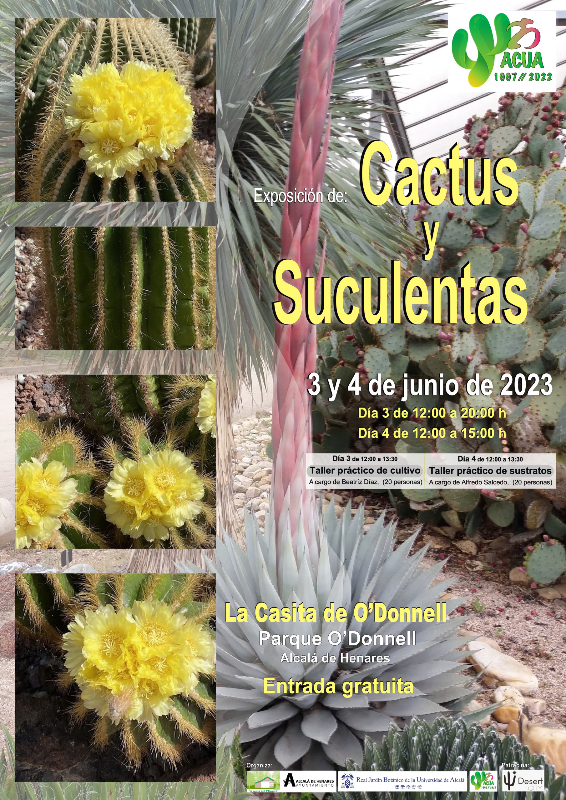 En este momento estás viendo Exposición de Cactus y suculentas 3 y 4 de junio de 2023